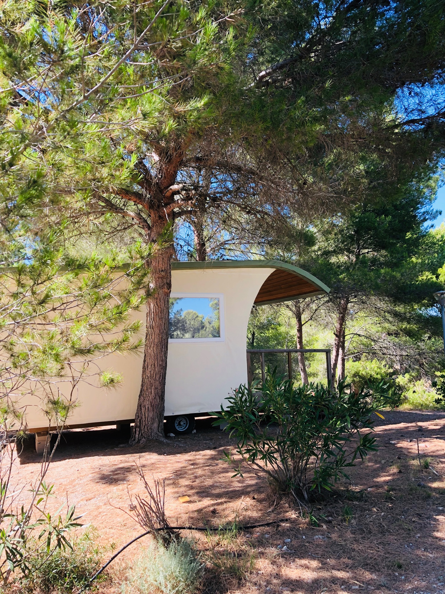 Ungewöhnliches Reservat mit Blick auf den Wohnwagen – Hotelleistungen inbegriffen