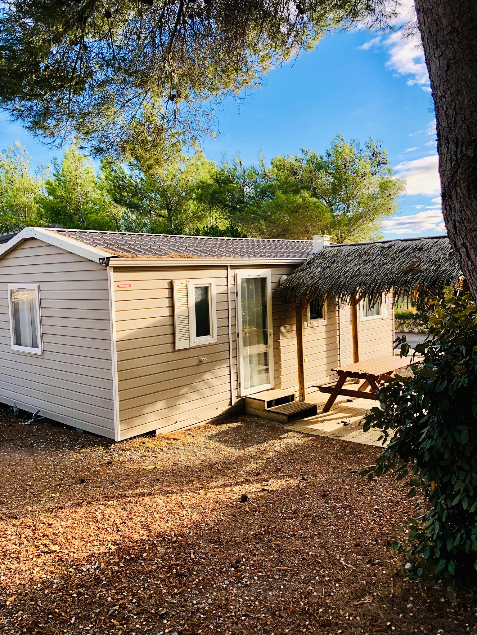 Family comfort bungalow garden side