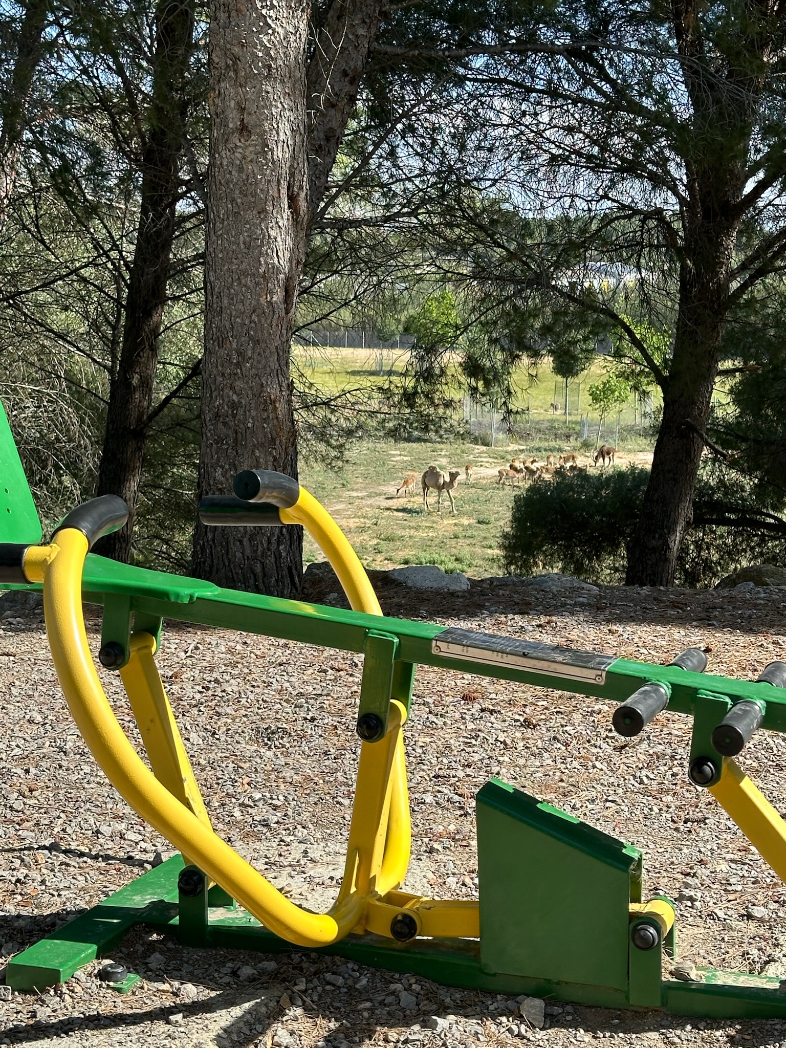 espace fitness extérieur