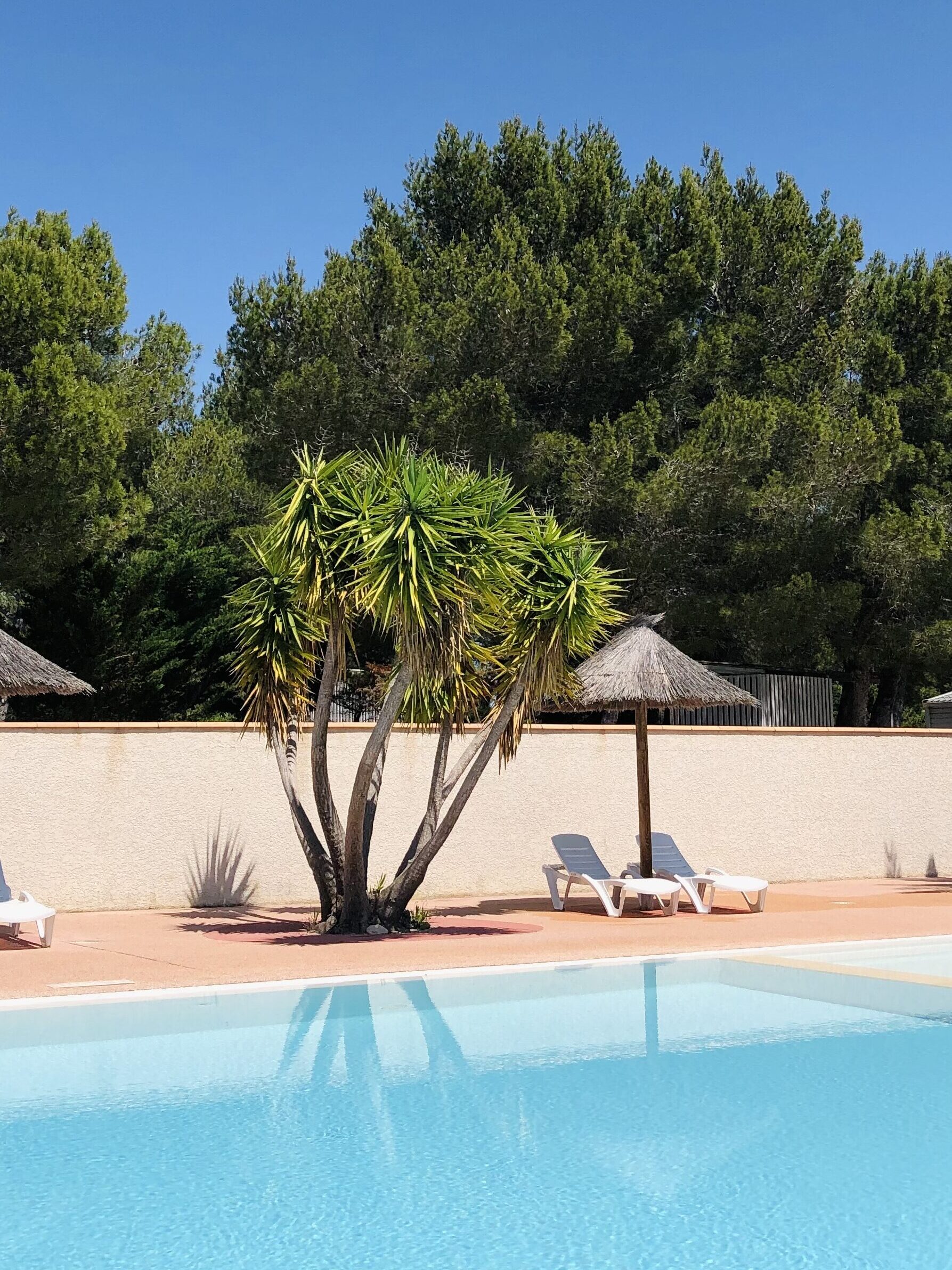 piscine du camping
